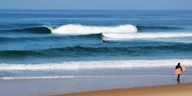 Surf y paddle surf en El Palmar